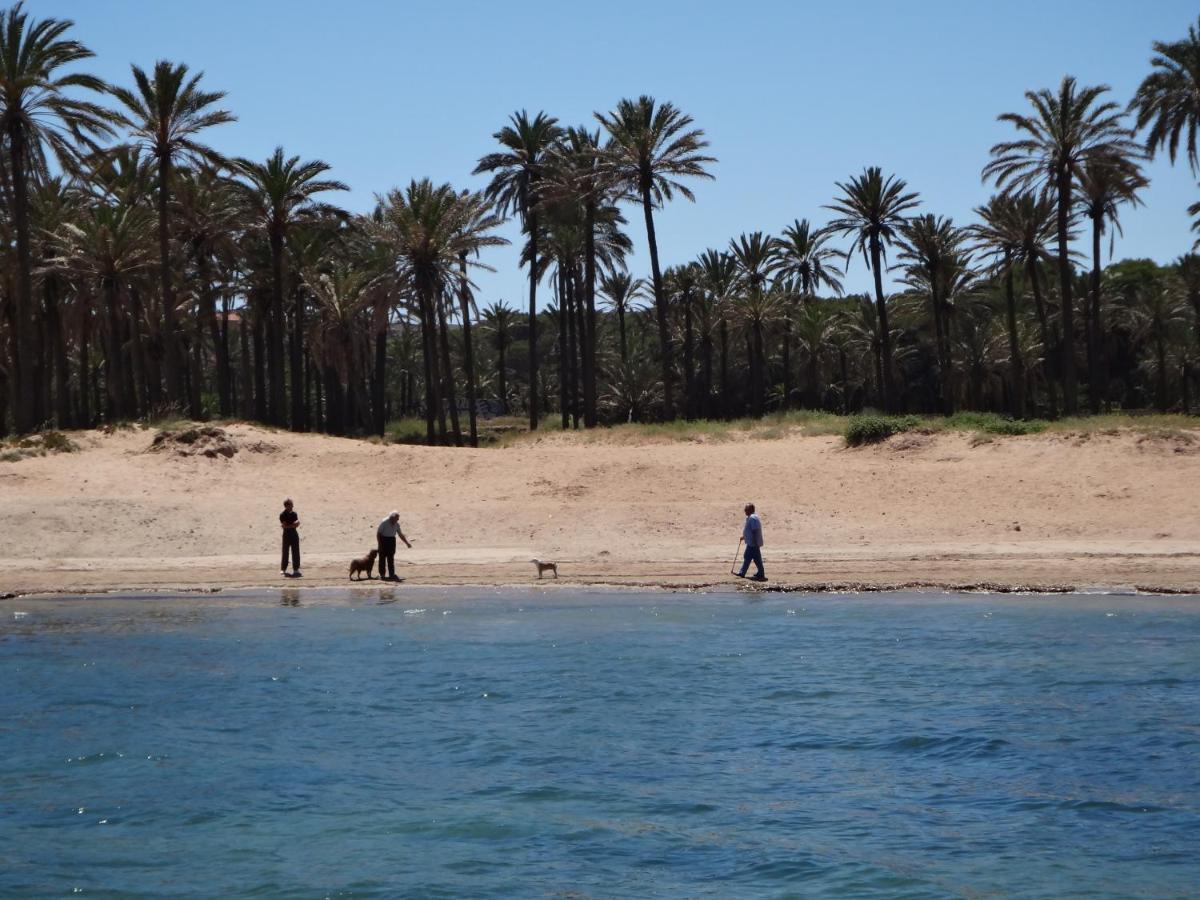 דירות Punta Prima Torrevieja Fantazy01 מראה חיצוני תמונה